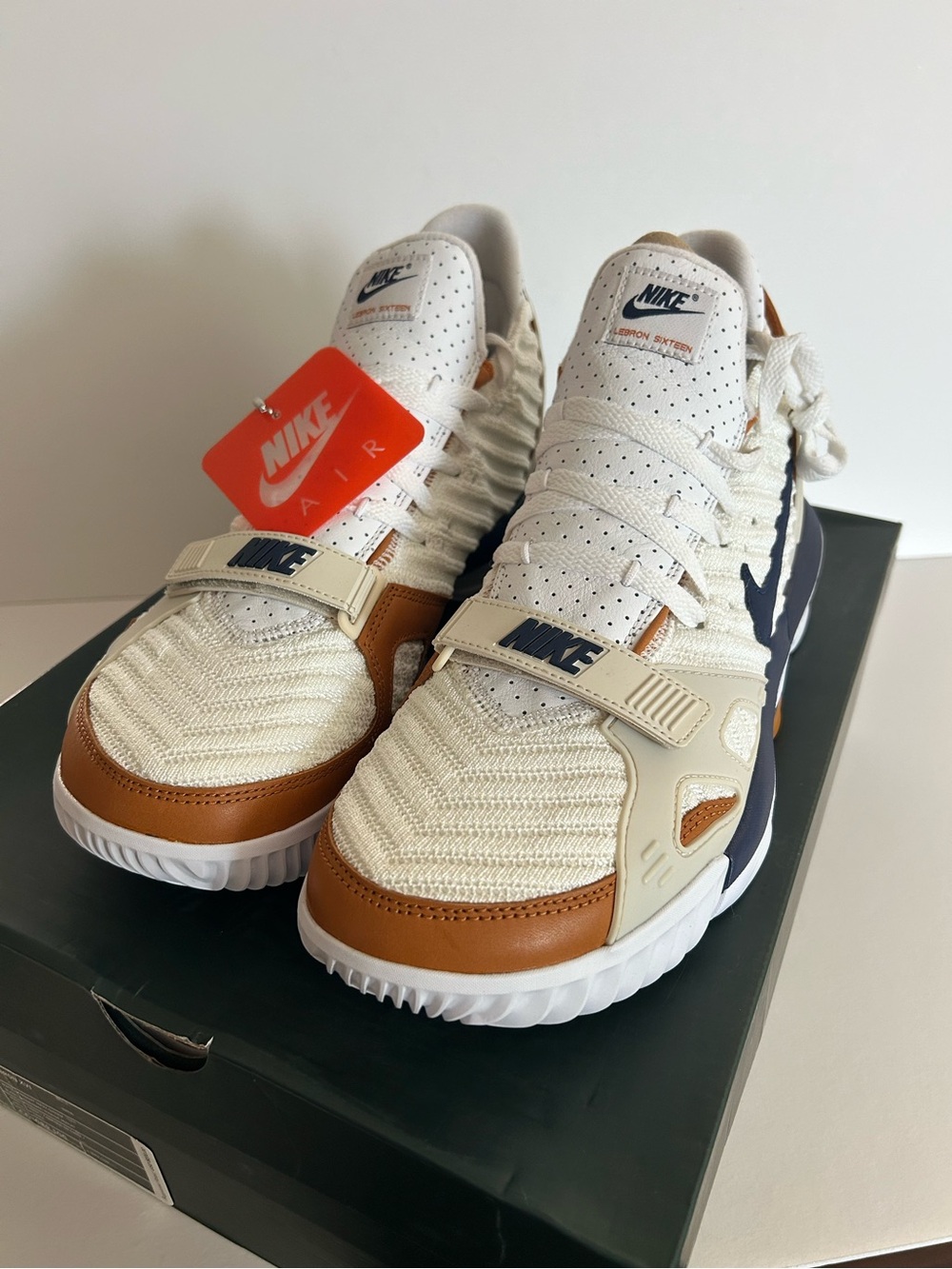 Nike Lebron XVI Size 11